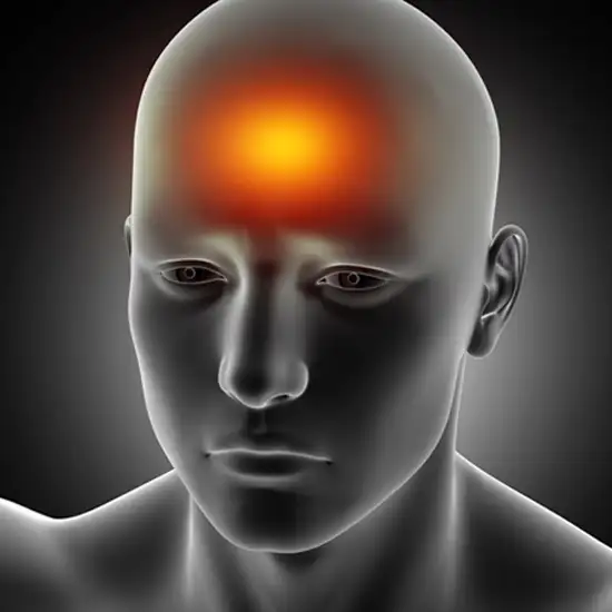 Tehnologie LifePharm